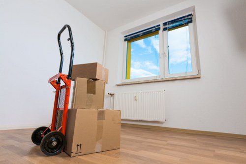 Different sizes of removal vans parked for a move.